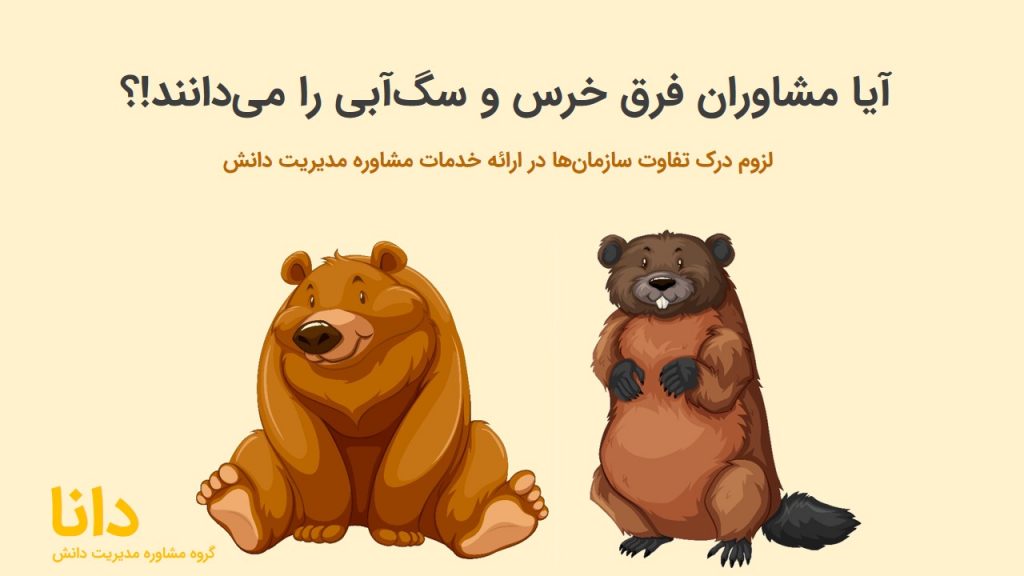 گروه مشاوره مدیریت دانش دانا