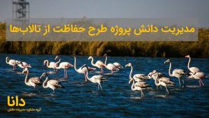 مدیریت دانش پروژه بین‌المللی “طرح حفاظت از تالاب‌های کشور”
