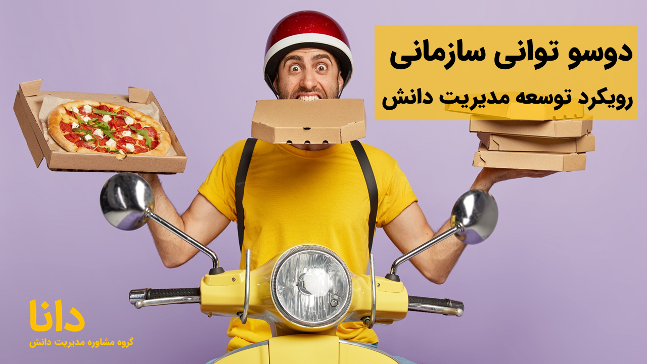 دوسو توانی سازمانی، رویکرد توسعه مدیریت دانش
